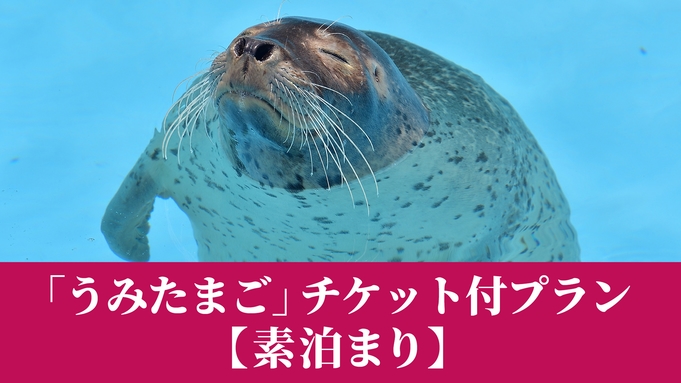 「うみたまご」チケット付プラン【無料朝食付】　別府駅より徒歩10分♪別府を満喫！